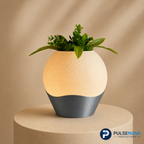 Luma Desk Vase Lamp for Soft Ambient Glow