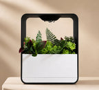 Cloud XL Self-Watering Desk Planter Vase with Drip Tray