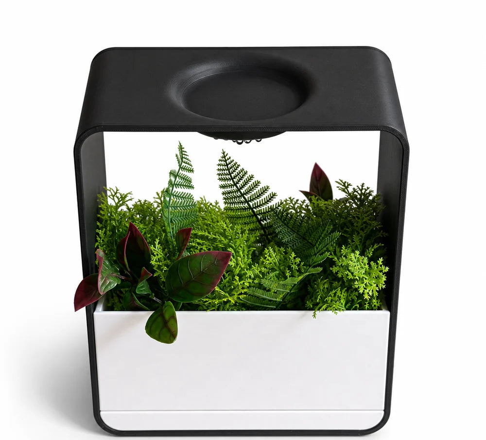 Cloud XL Self-Watering Desk Planter Vase with Drip Tray