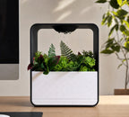 Cloud XL Self-Watering Desk Planter Vase with Drip Tray