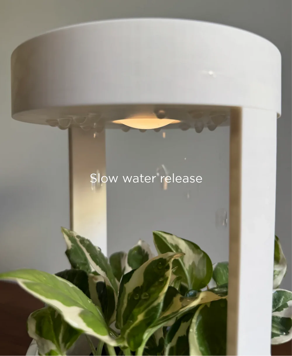 Lantern, Desk Vase With Grow Light And Drip Tray (Manual)