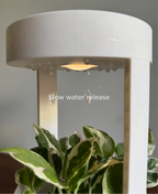 Lantern, Desk Vase With Grow Light And Drip Tray (Manual)