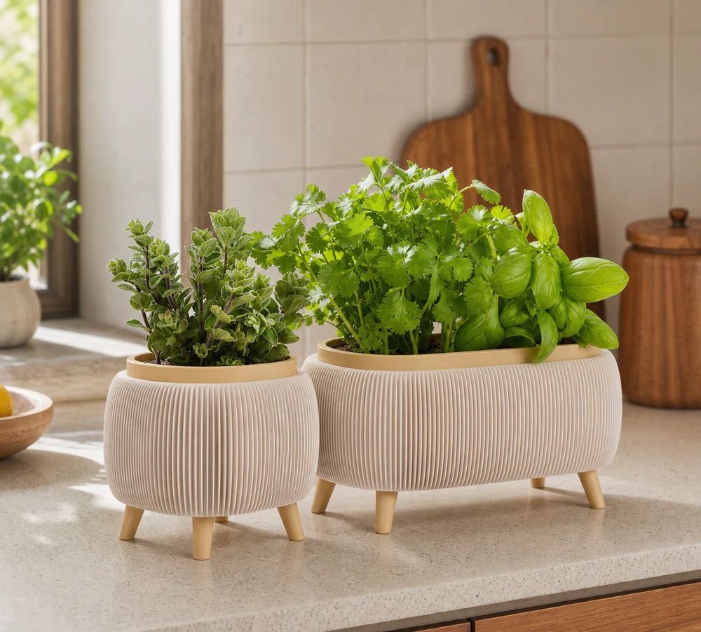 Modern Herb Planter Set with Drainage & Legs (set of 2)