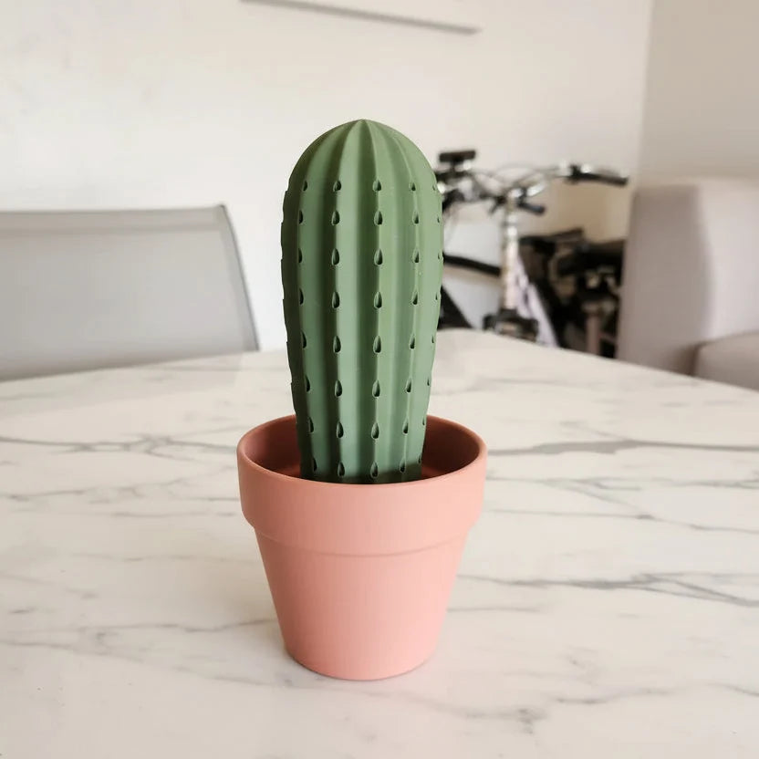 Cactus Toothpick Holder For Dining Table