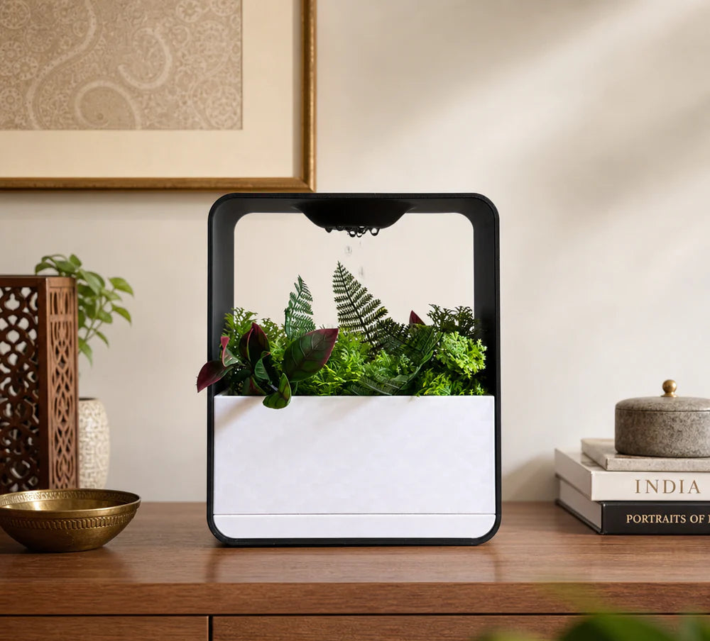 Cloud XL Self-Watering Desk Planter Vase with Drip Tray