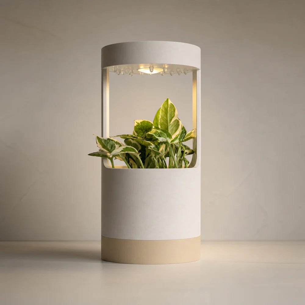 Lantern, Desk Vase With Grow Light And Drip Tray (Manual)