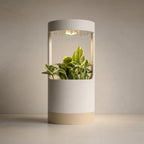 Lantern, Desk Vase With Grow Light And Drip Tray (Manual)