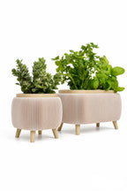 Modern Herb Planter Set with Drainage & Legs (set of 2)