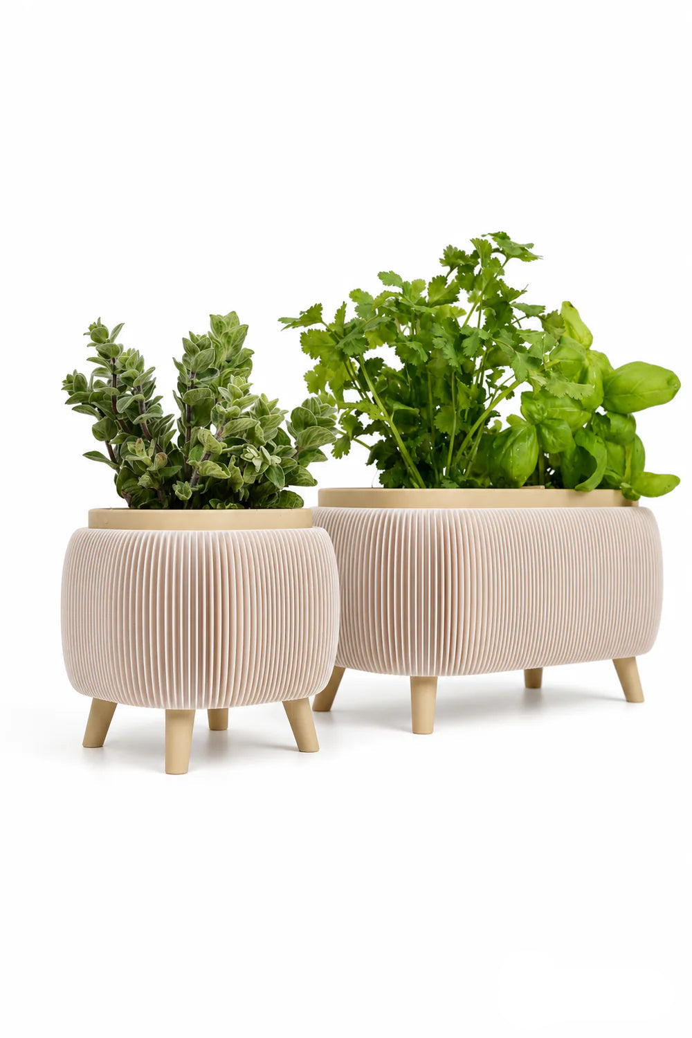 Modern Herb Planter Set with Drainage & Legs (set of 2)