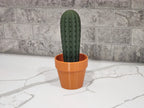 Cactus Toothpick Holder For Dining Table