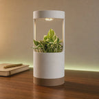 Lantern, Desk Vase With Grow Light And Drip Tray (Manual)
