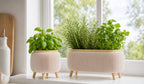 Modern Herb Planter Set with Drainage & Legs (set of 2)