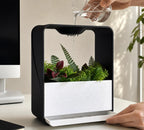 Cloud XL Self-Watering Desk Planter Vase with Drip Tray