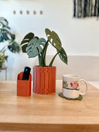 Leafix Monstera Coaster Set With Magnetic Leaves & Pot