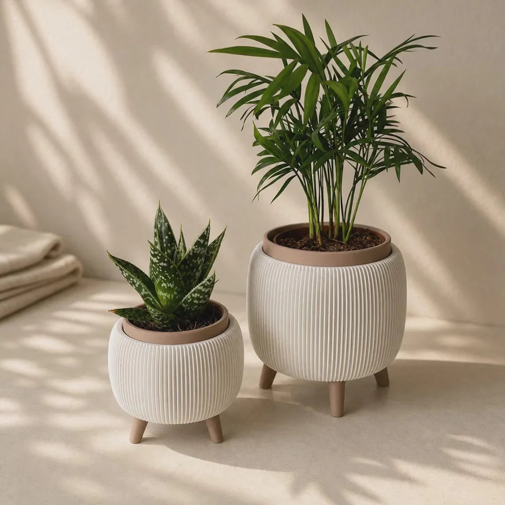 LiftBloom Indoor Planter with Legs - Desk Showpiece (Set Of 2)