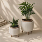 LiftBloom Indoor Planter with Legs - Desk Showpiece (Set Of 2)