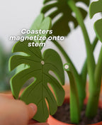Leafix Monstera Coaster Set With Magnetic Leaves & Pot
