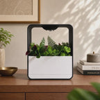 Cloud XL Self-Watering Desk Planter Vase with Drip Tray