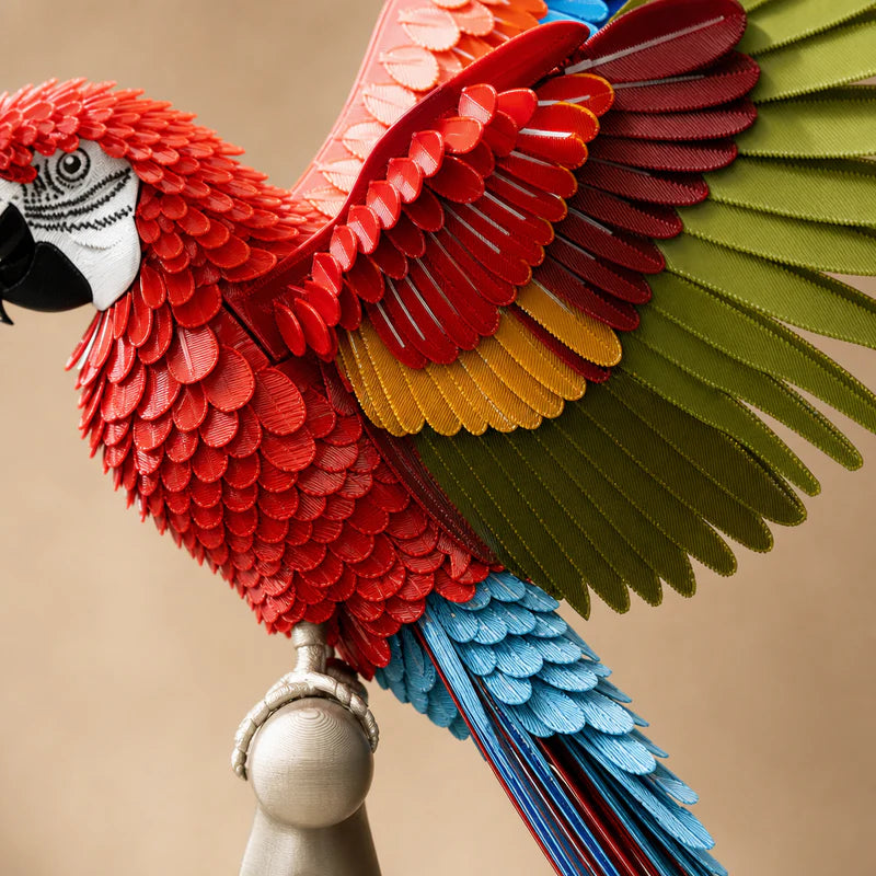 Life-Size Macaw 3D Wall Decor Puzzle